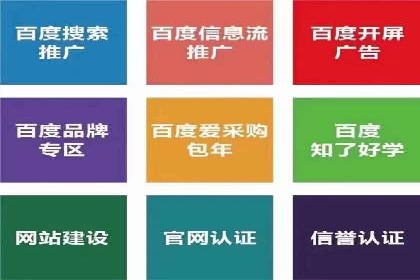谷歌SEM案例研究：数据分析与效果评估
